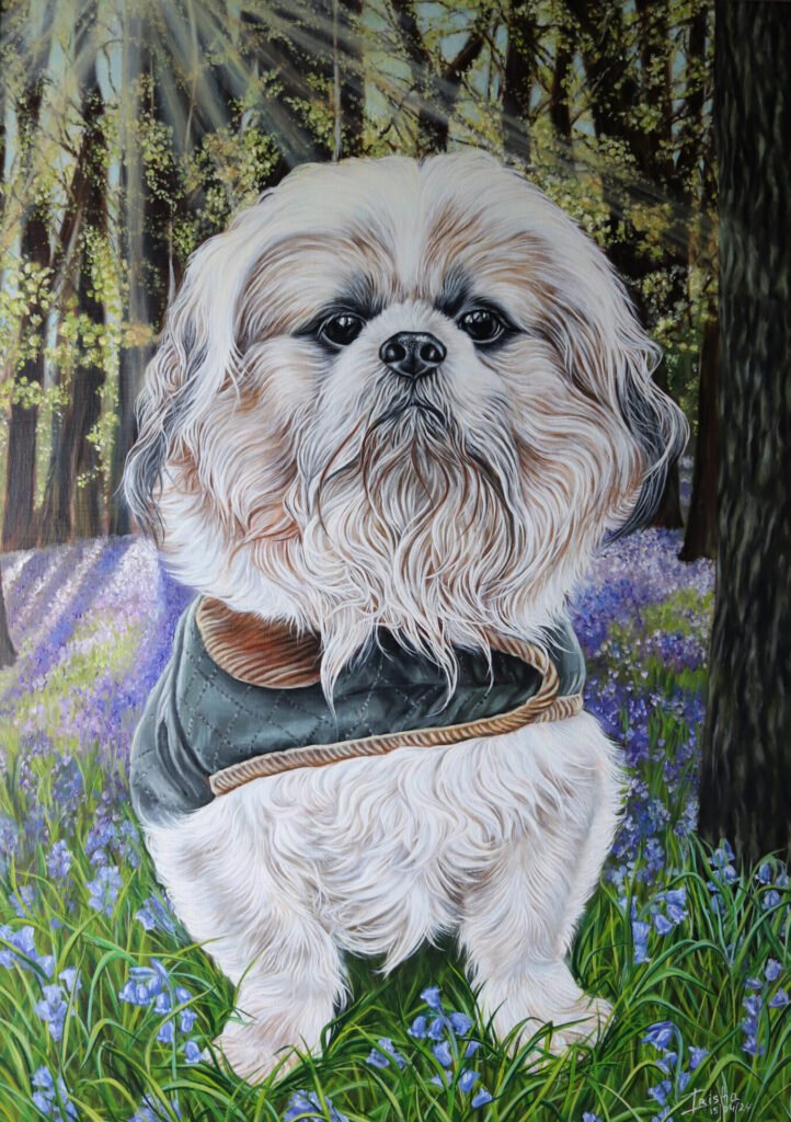 custom portrait of a dog Shiatzu created in oil