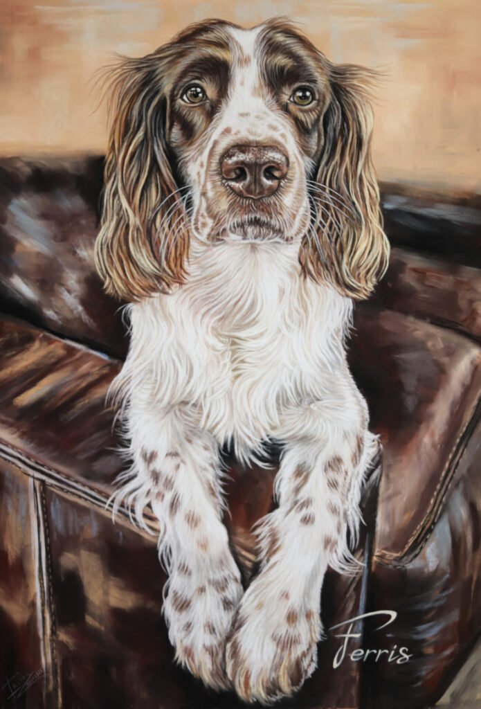 custom portrait of a dog Springer Spaniel on the sofa